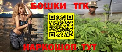 гашик Кингисепп