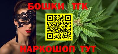 гашик Кингисепп
