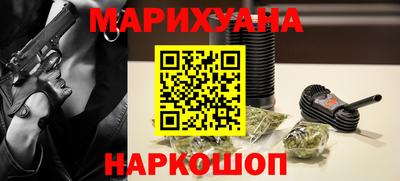 гашик Кингисепп