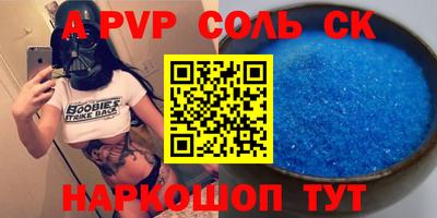гашик Кингисепп
