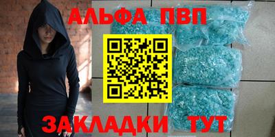 гашик Кингисепп