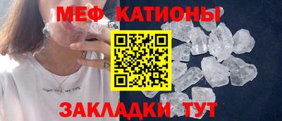 гашик Кингисепп
