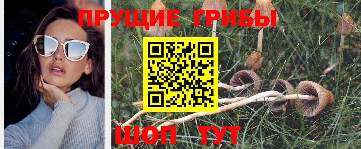 Галлюциногенные грибы прущие грибы Шахты
