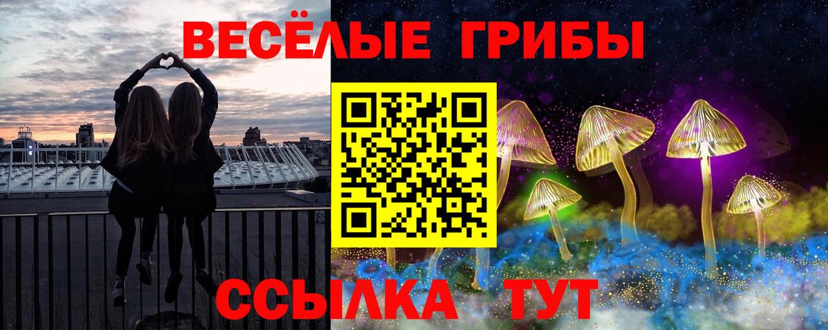 Шахты  Галлюциногенные грибы Psilocybine cubensis  Галлюциногенные грибы Cubensis  Вход с VPN 